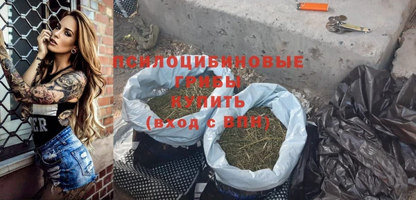бошки Богородск