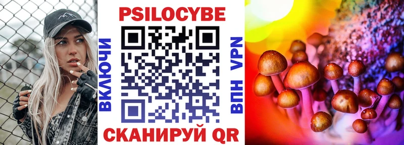 купить наркотик  Плёс  Псилоцибиновые грибы Psilocybe 